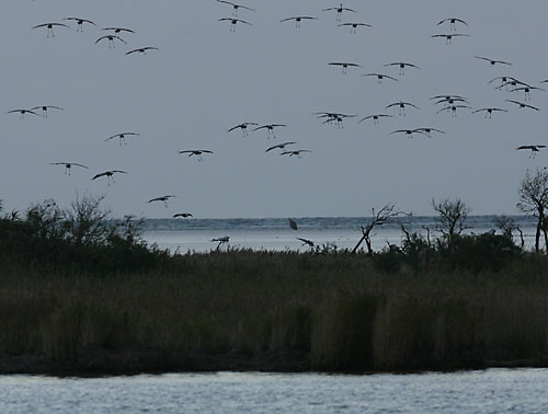 Schlafplatz bei der Insel Bock