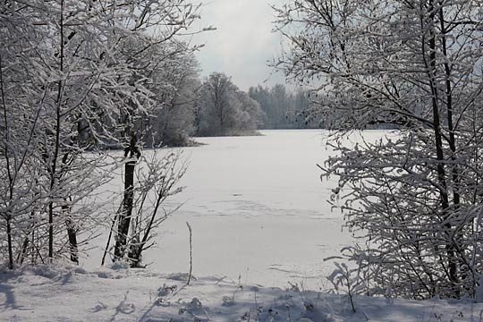 Teiche bei Kleinbeuthen