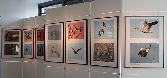 Ausstellungsfotos