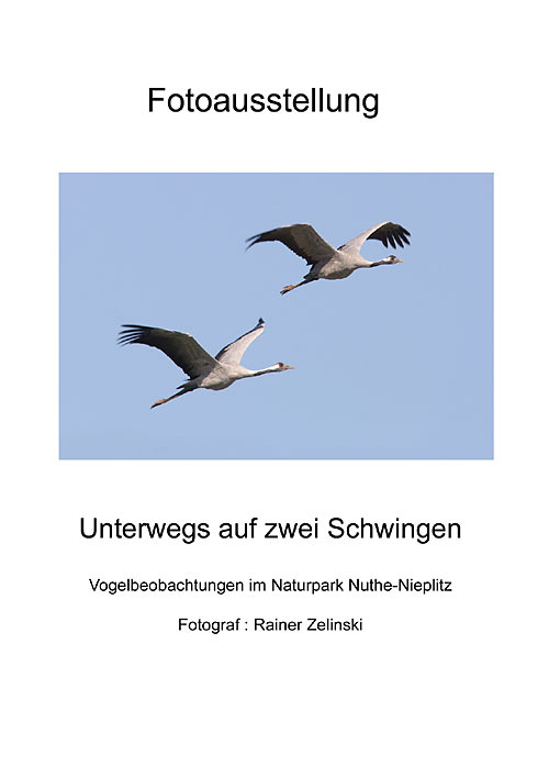 Titelposter