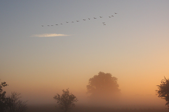 Anflug im Nebel