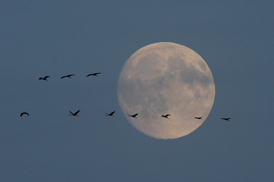 Rückflug mit Mond